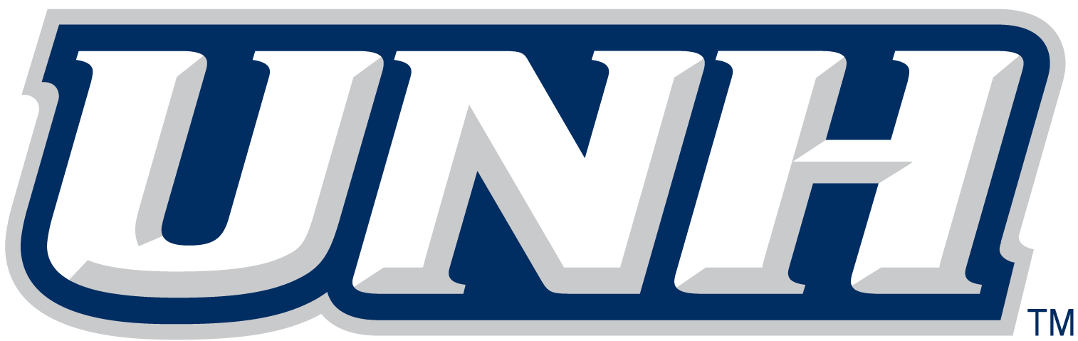 New Hampshire Wildcats 2000-Pres Wordmark Logo v3 iron on transfers for clothing